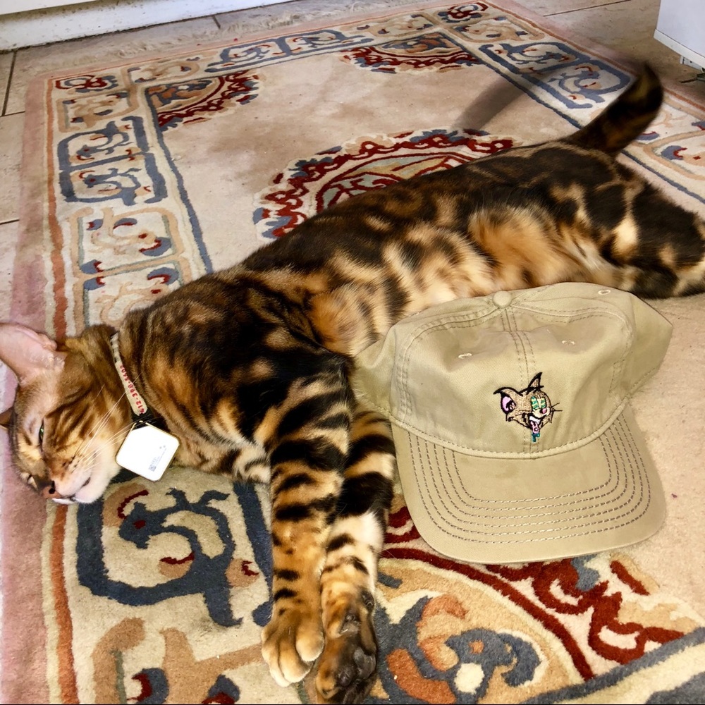 Custom trip cat hats dad hat vintage hype